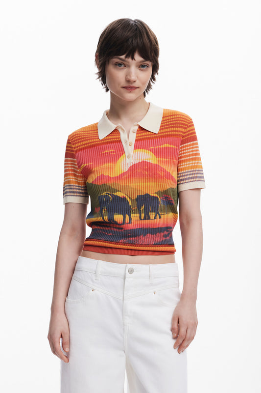 Camiseta Desigual Himalaya Mujer 25SWTKA78007